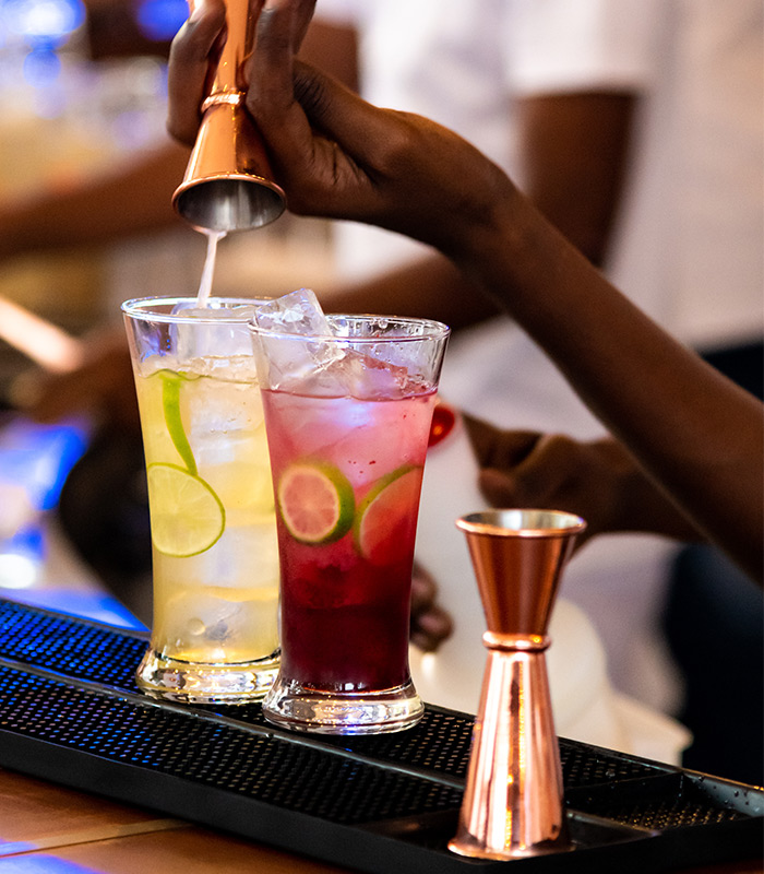 <span>South wing </span> Beachfront lawn